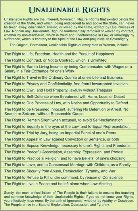 unalienable-rights-pic